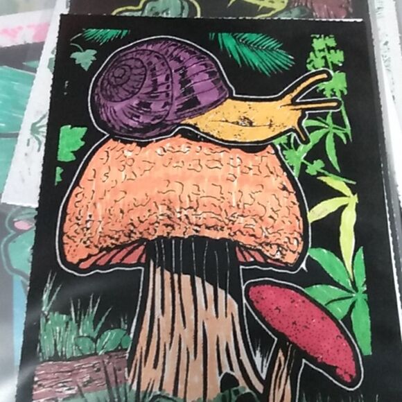 Coloring of a snail - Picture 1 of 1